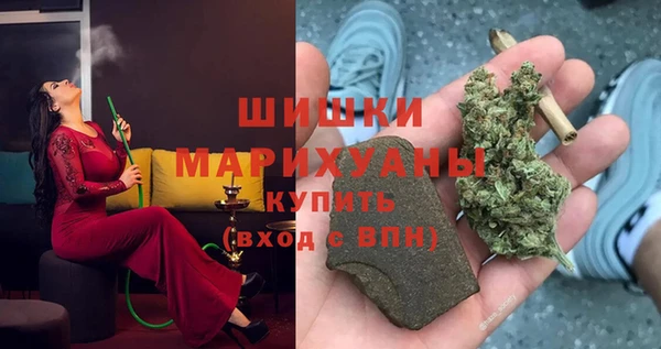 прущая мука Корсаков