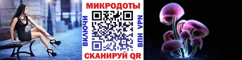Купить где  Брюховецкая  Галлюциногенные грибы Psilocybine cubensis 
